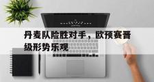 haha体育网页版-丹麦队险胜对手，欧预赛晋级形势乐观