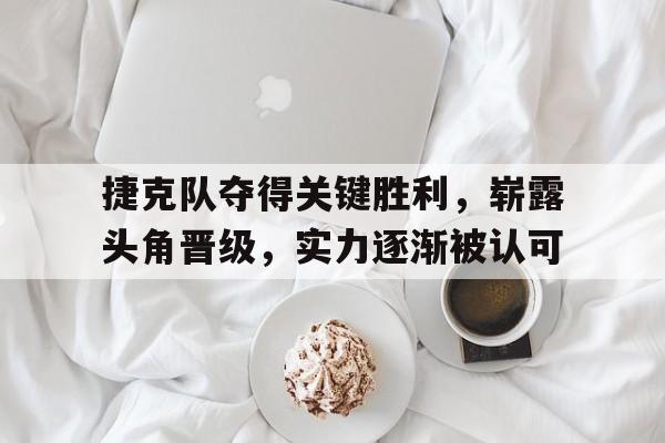 捷克队夺得关键胜利，崭露头角晋级，实力逐渐被认可